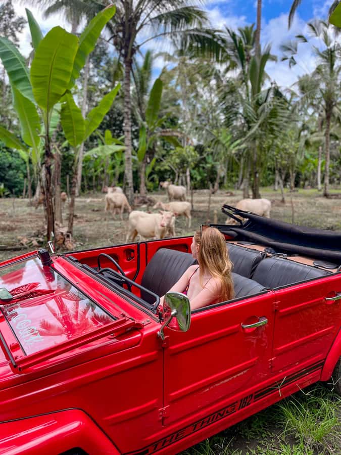 Discover Balis Roots in a Vintage VW - The Charm of Traveling in a Vintage VW