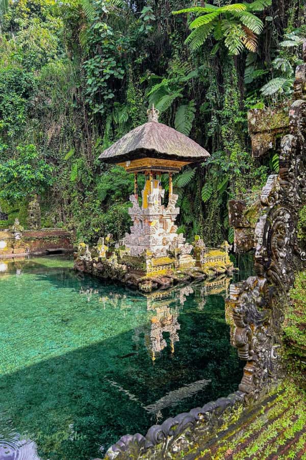 Bali: Fireflies Night, Temple, Waterfall & Rice Terrace - A Deep Dive into the Experience