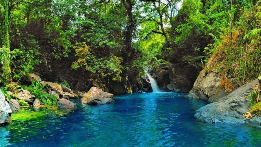 Bali: North Bali Tour With Flexible Itinerary Options - What Reviewers Say