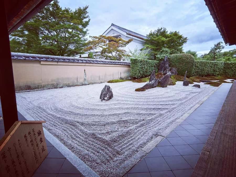 Kyoto: Zen and Tea Slow Cycling Tour with Meditation - Who Should Consider This Tour?