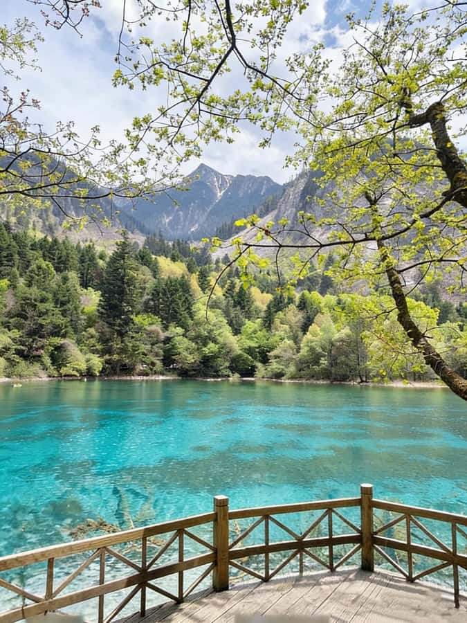 Flexible Jiuzhaigou Day Tour Options: Shared or Private - Deep Dive into the Itinerary