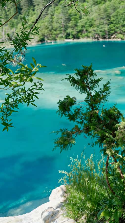 Flexible Jiuzhaigou Day Tour Options: Shared or Private - Transportation, Timing & Flexibility