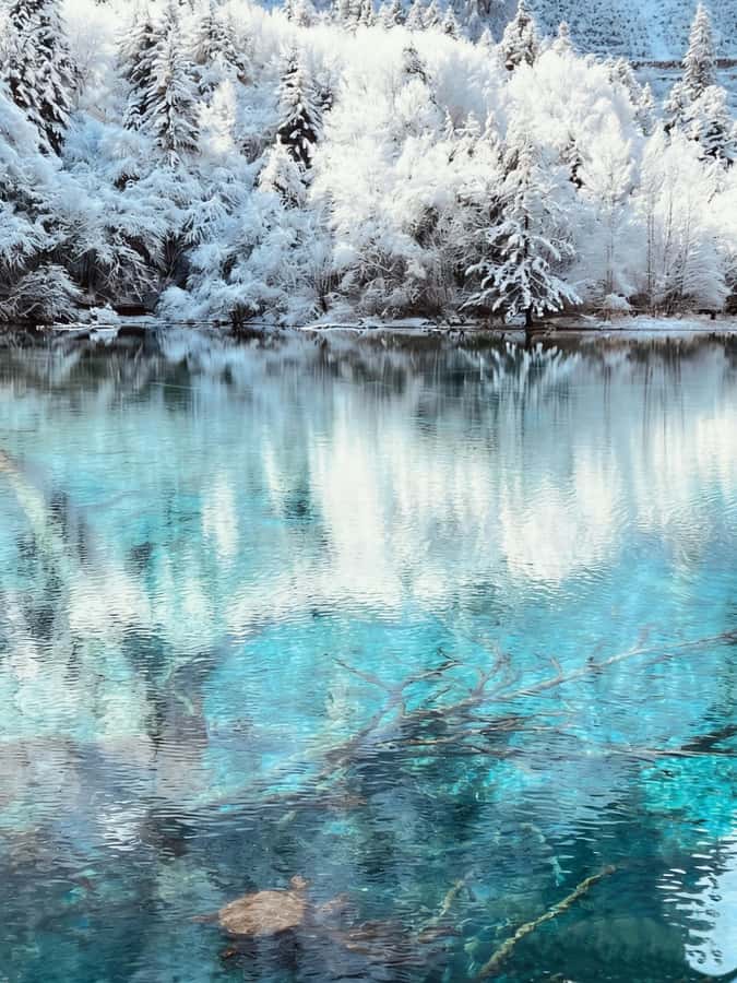 Flexible Jiuzhaigou Day Tour Options: Shared or Private - Who Is This Tour Best For?