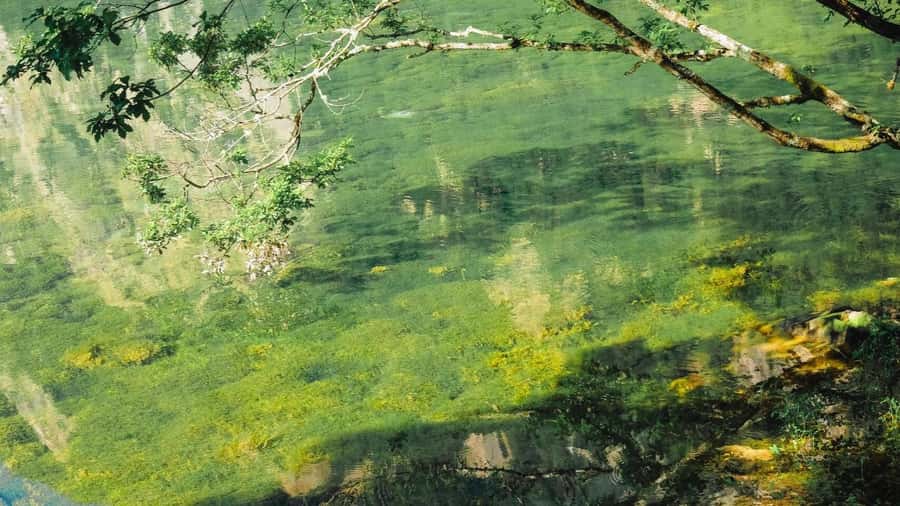 Flexible Jiuzhaigou Day Tour Options: Shared or Private - Good To Know