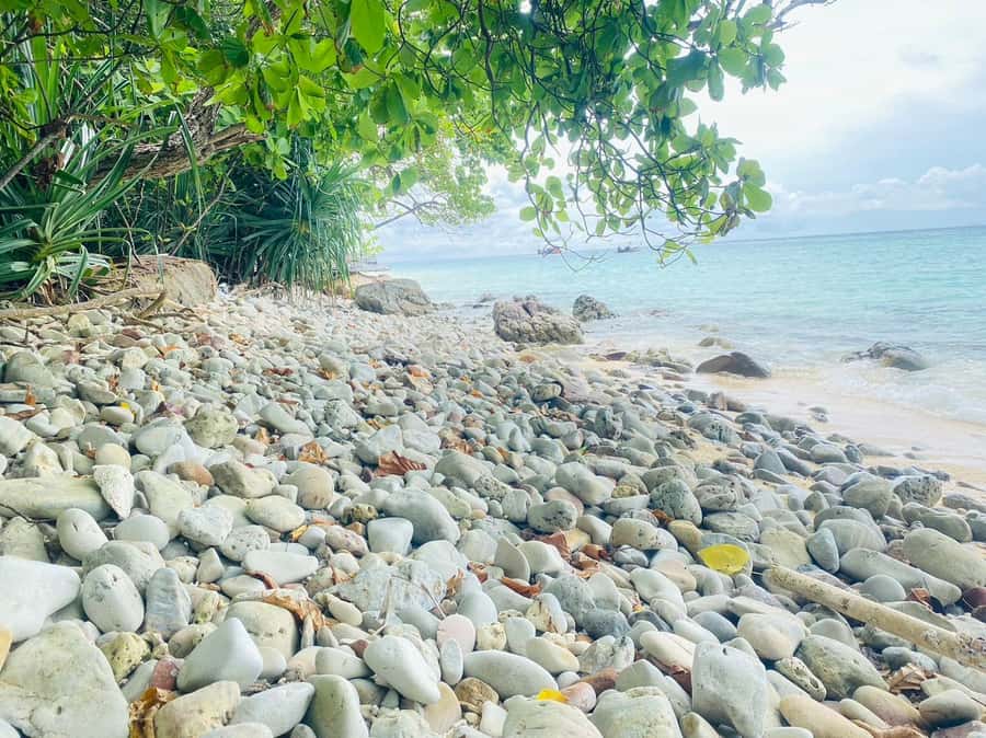 Koh Lanta: Private Koh Rok Snorkeling Tour by Speedboat - Key Points