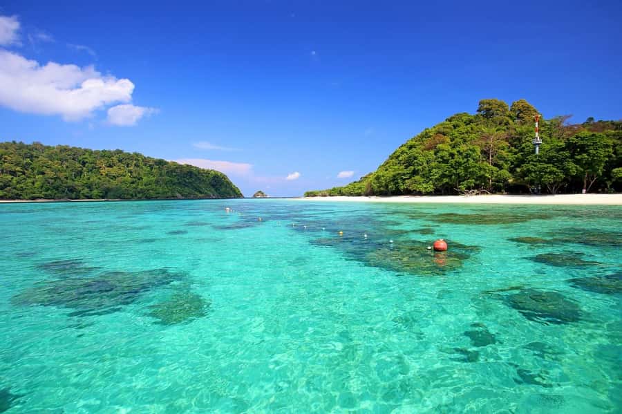 Koh Lanta: Private Koh Rok Snorkeling Tour by Speedboat - Final Thoughts: Who Should Consider This Tour?