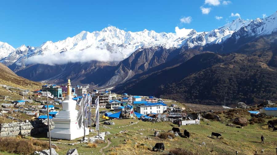Langtang Highlands Trek via Tserko Ri & Sherpagaon - Practical Details and Why They Matter