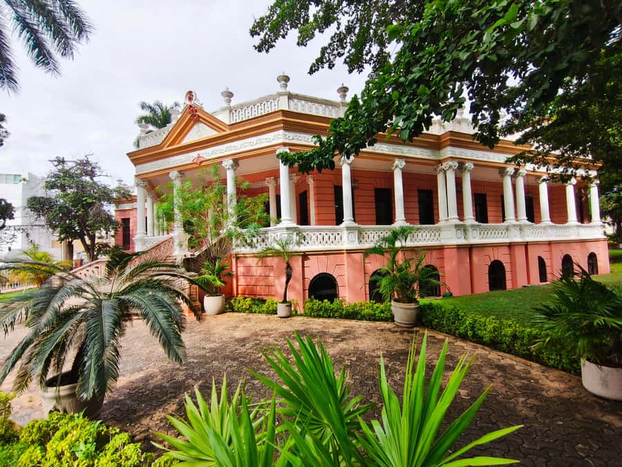 Historical and Cultural Tour on Paseo de Montejo - Why This Tour Offers Value and Authenticity