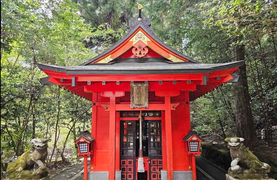 Mt.Fuji Scenic Day Trip:Lake Ashi, Volcanic Cable Car,Shrine - Final Thoughts