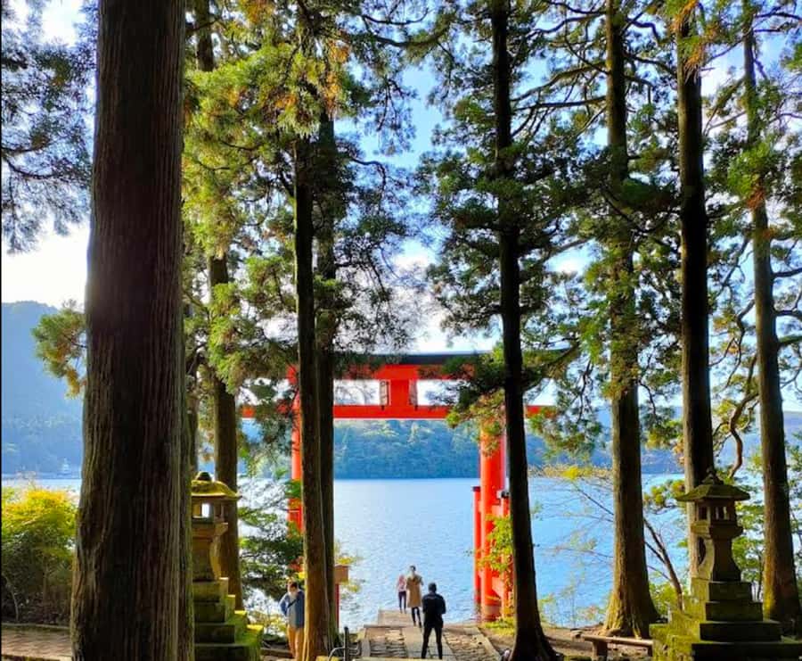 Mt.Fuji Scenic Day Trip:Lake Ashi, Volcanic Cable Car,Shrine - FAQ