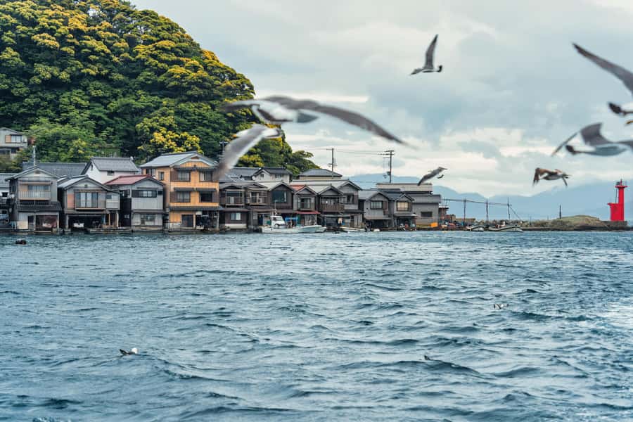 Kyoto/Osaka: Amanohashidate & Ine Funaya & Ine Bay Day Tour - Discovering the Natural Beauty of Amanohashidate and Ine Bay