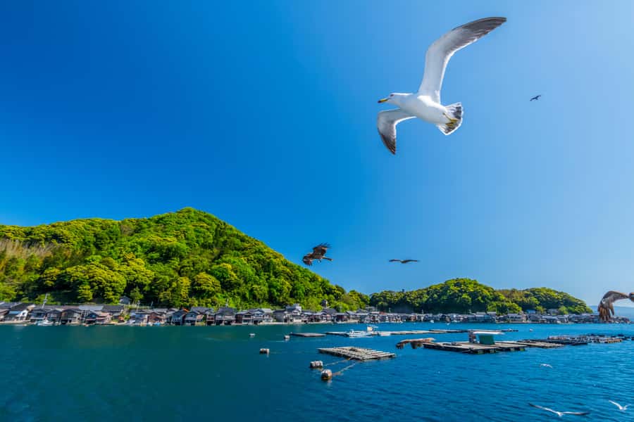 Kyoto/Osaka: Amanohashidate & Ine Funaya & Ine Bay Day Tour - The Experience of a Lifetime or a Nice Day Out?