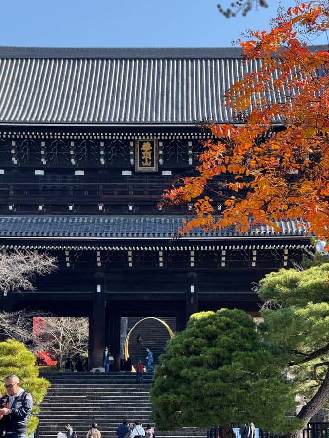 A Quiet Kyoto MorningTemplesShrines&Local Life - A Quiet Kyoto Morning Temples, Shrines & Local Life