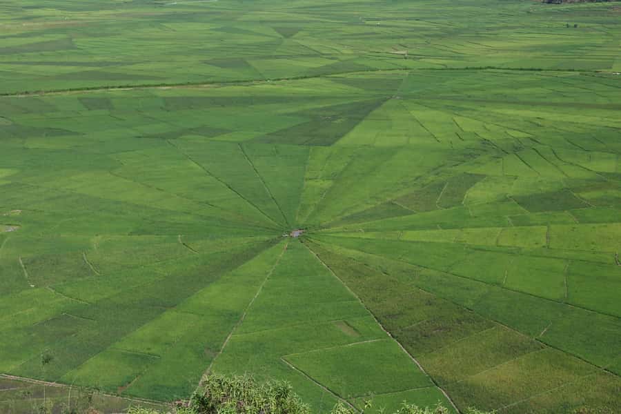 Flores Island Tour : 4 Days explore the culture & nature - Key Points