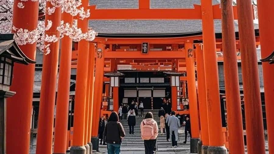 Osaka: Kyoto, Nara, Fushimi Inari, and Arashiyama Tour - An In-Depth Look at the Tour