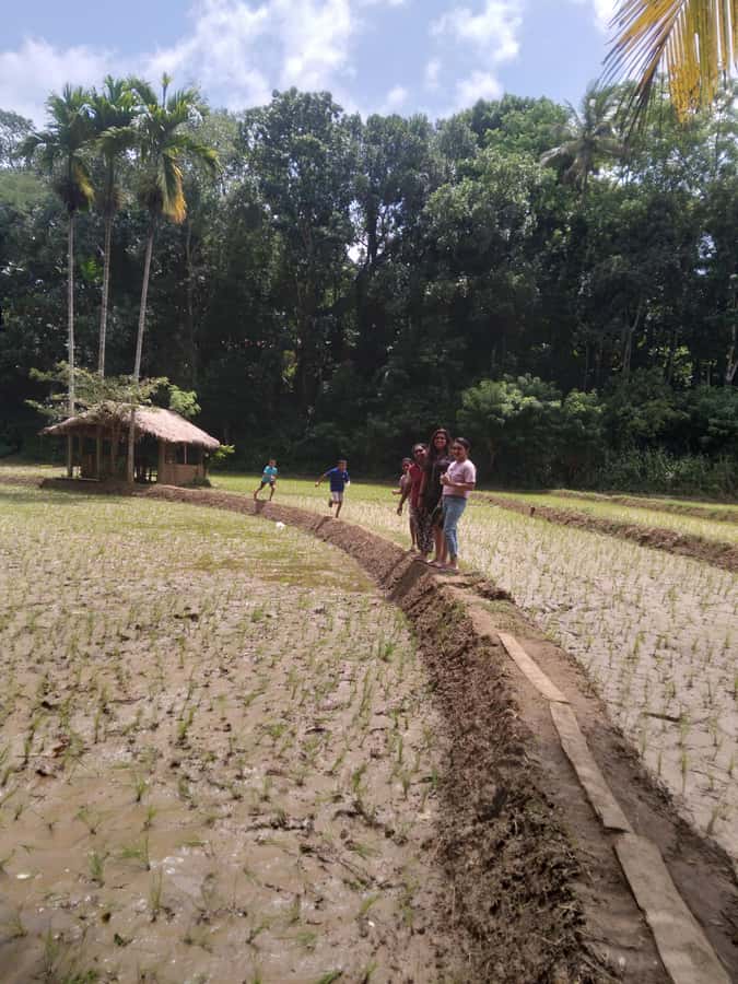 Kandy: Nutmeg Plantation Tour with Kamatha Lunch - Who Will Love This Tour?