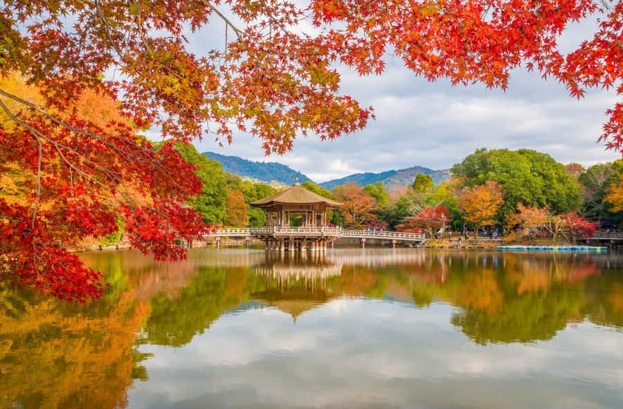 Osaka: Kyoto / Nara Custom Walking Tour in Public Transport - The Sum Up: Who’s This Tour Perfect For?