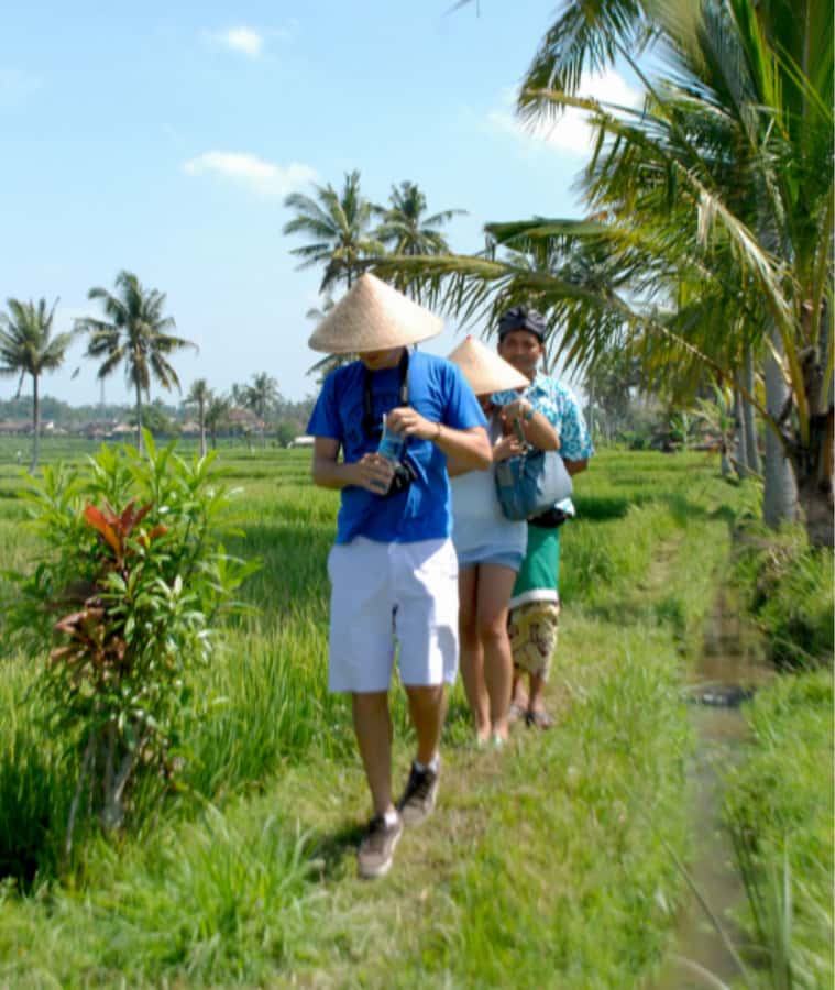 Ubud: Rice Field Trekking Tour with Guide and Drink - Discovering Bali’s Countryside on Foot