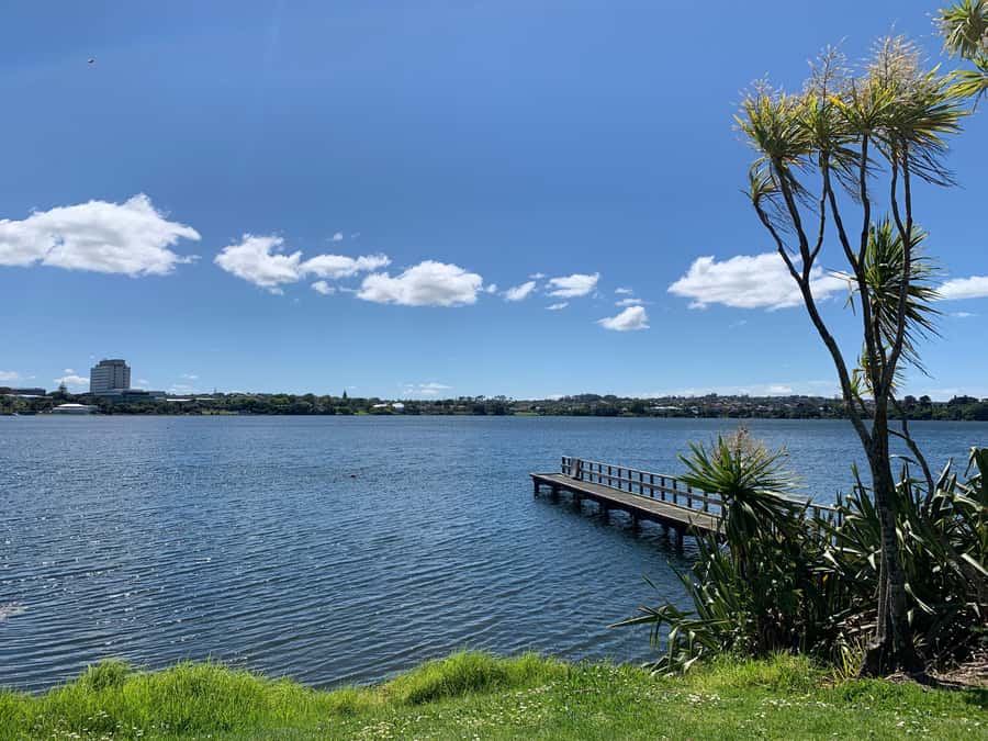 Volcanoes, Coast & Secret Spots Afternoon Tour from Auckland - The Details That Make This Tour Stand Out