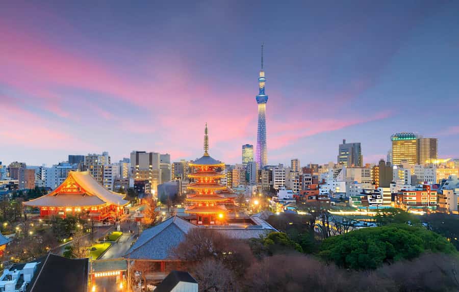 Tokyo Neon Nights: Guided Nightlife Walking Experience - The Experience in Detail