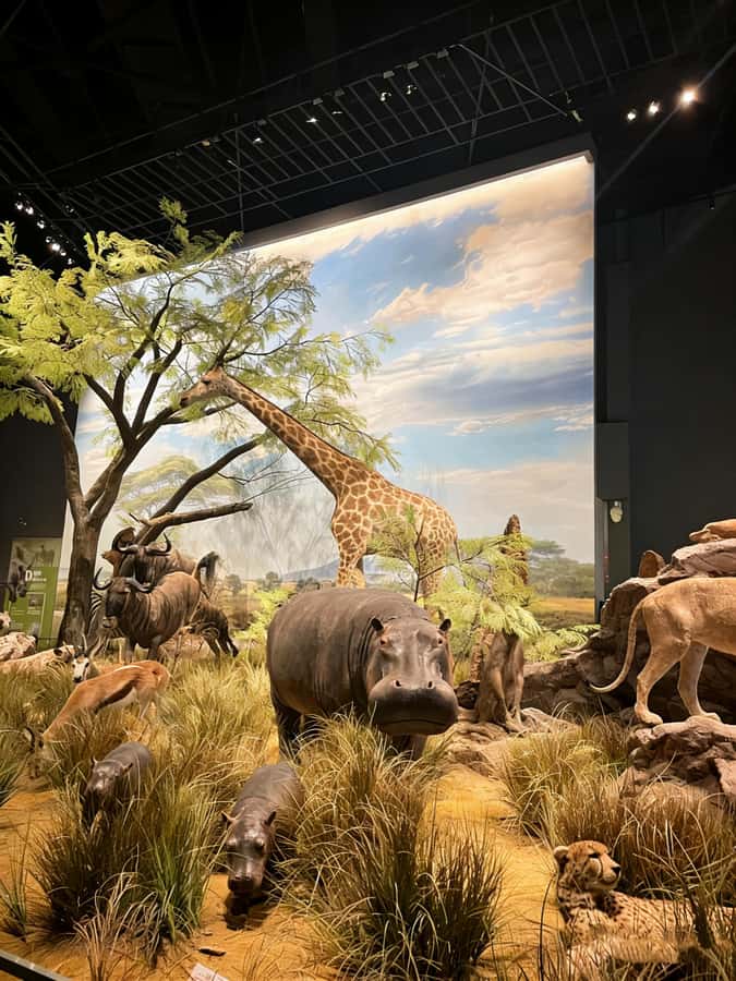 Chengdu: Natural History Museum Guided Tour - Introduction