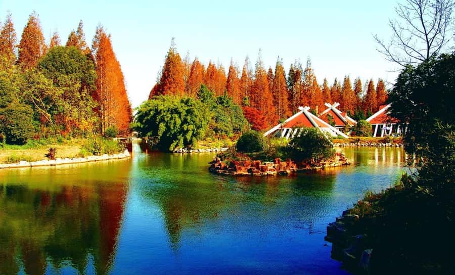 Outdoor Fun in Shanghai: Dongping Park Entry for 2-Person - Good To Know