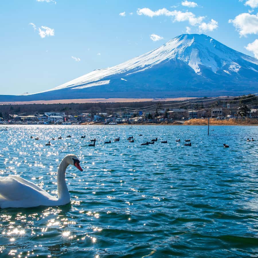 From Tokyo: Hakone Fully Private Tour Customizable Itinerary - Introduction