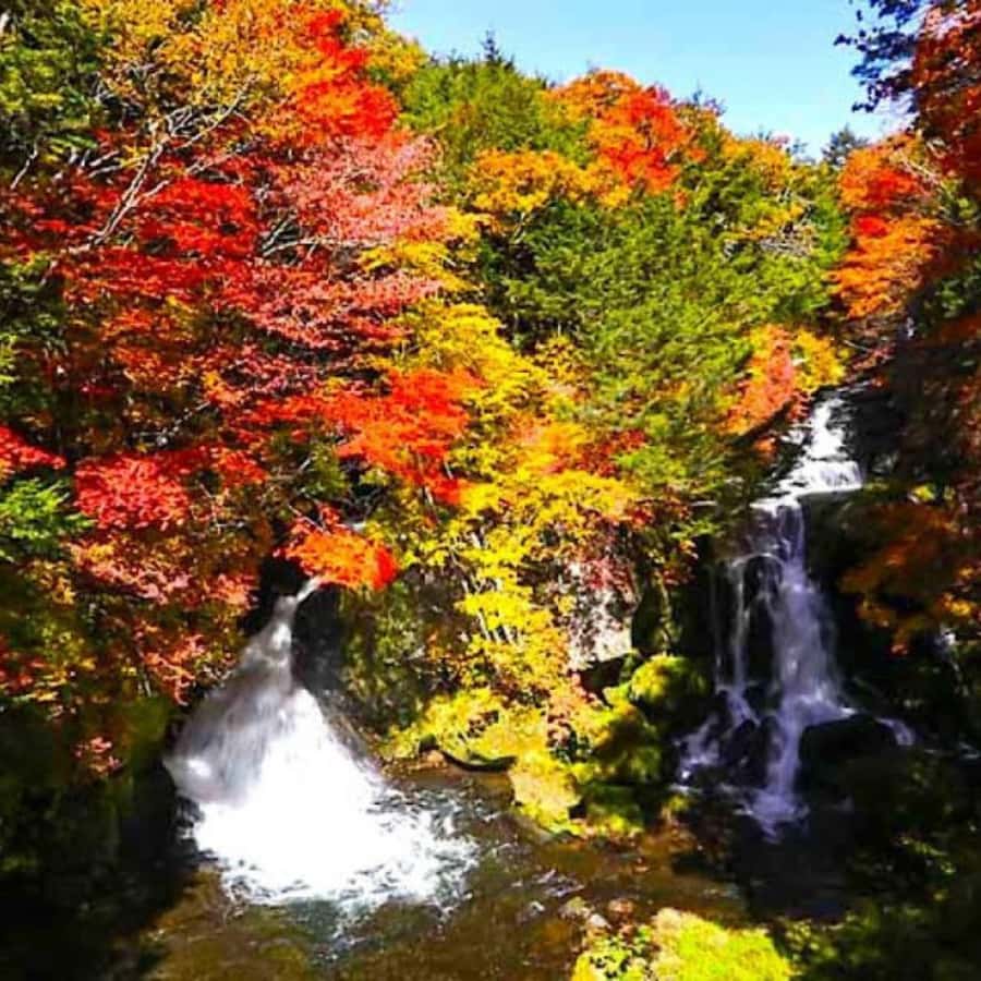 Nikko: Private Short Day Tour With English-Speaking Guide - Discover the Charm of Nikko with a Private Short Day Tour