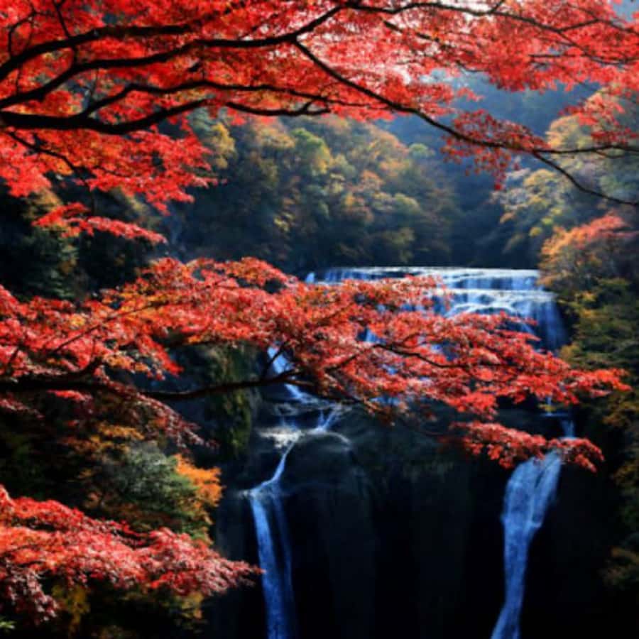 Nikko: Private Short Day Tour With English-Speaking Guide - Who Should Consider This Tour?