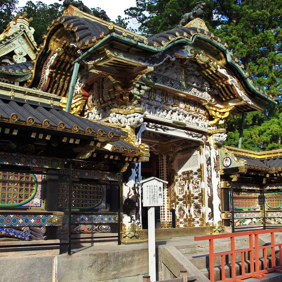 Nikko: Private Short Day Tour With English-Speaking Guide - A Complete Look at What to Expect on Your Nikko Tour