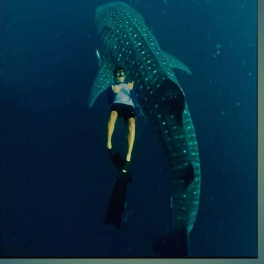 Sumbawa Overland Whale Shark Adventure (Sharing Trip) - What Sets This Tour Apart
