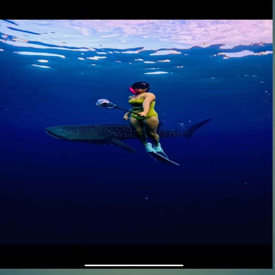 Sumbawa Overland Whale Shark Adventure (Sharing Trip) - Final Thoughts
