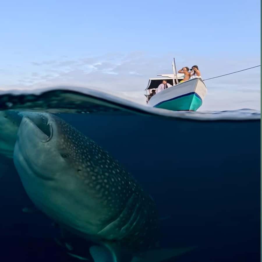 Sumbawa Overland Whale Shark Adventure (Sharing Trip) - The Itinerary in Detail