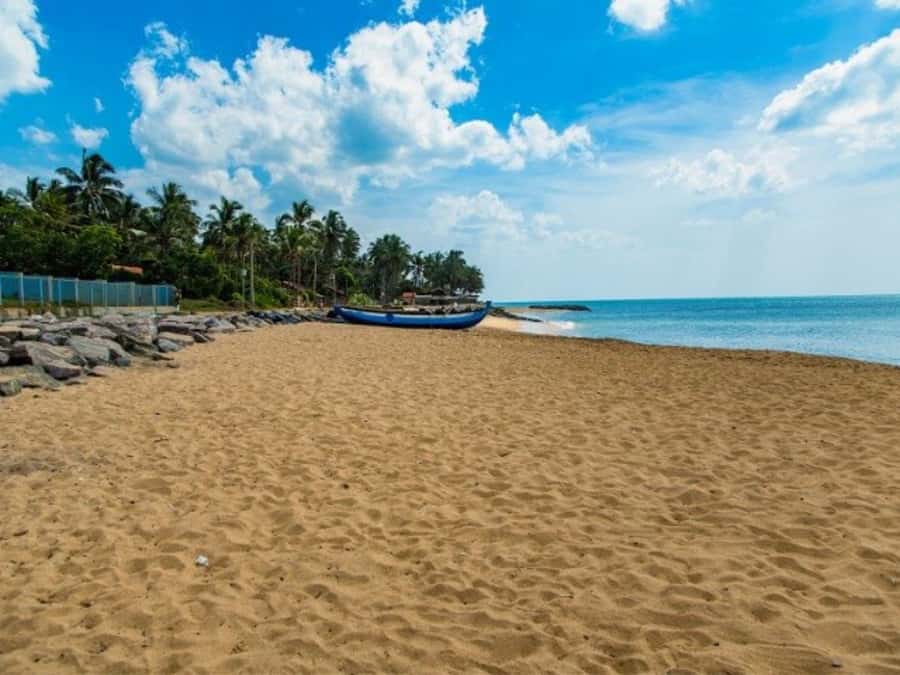 Negombo City Tour By Tuk Tuk Hotel Pickup & Private Guide - Who Would Enjoy This Tour?