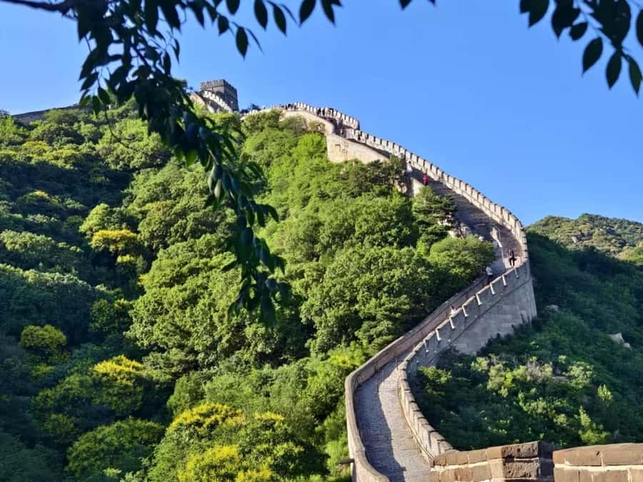 Beijing: Badaling Great Wall Private Tour with Night Option - Return and Drop-Off