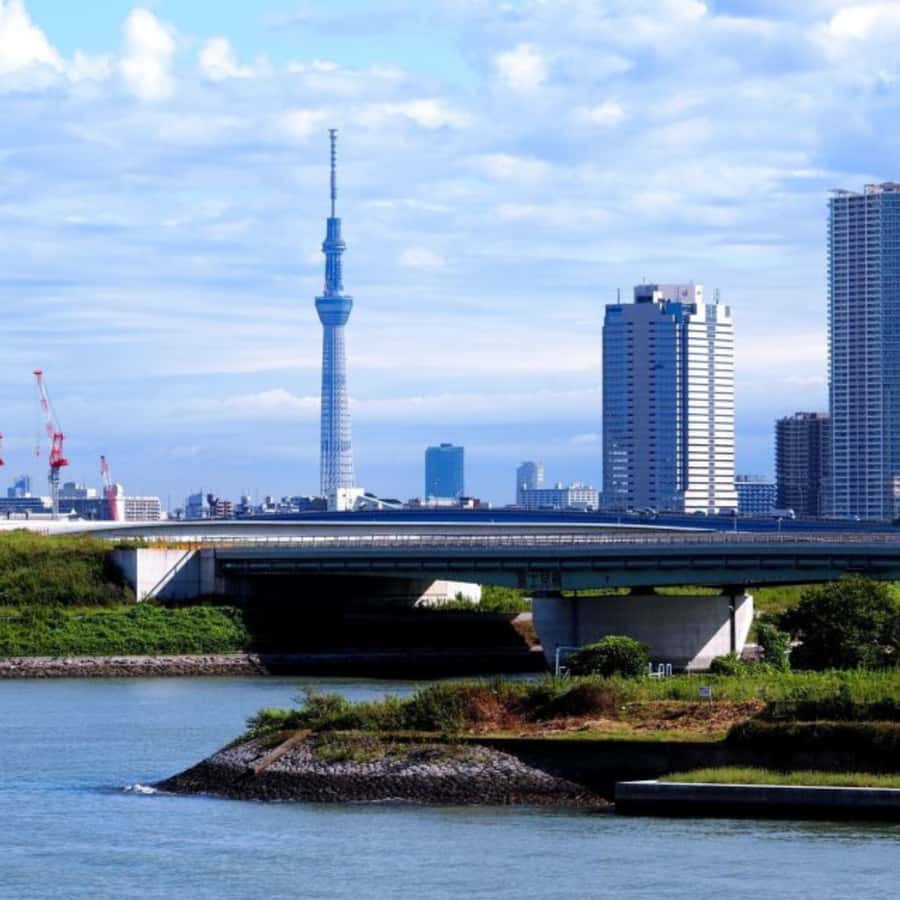 Tokyo: Tokyo Private City Tour With English Speaking Guide - Practical Details That Matter
