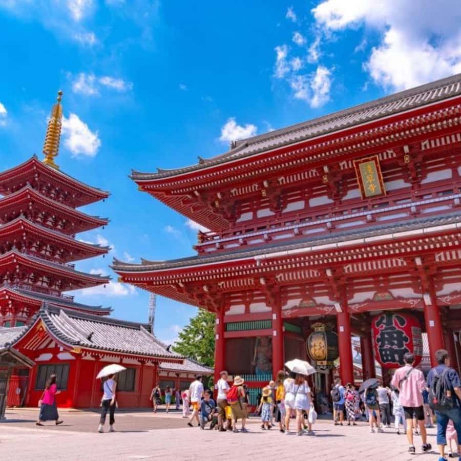 Tokyo: Tokyo Private City Tour With English Speaking Guide - Why This Tour Offers Real Value