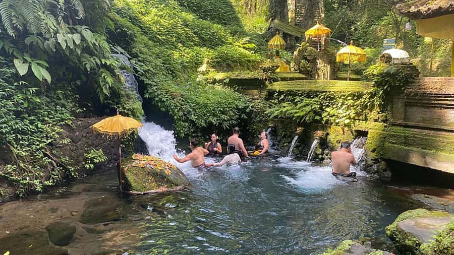 Ubud Healing Journey Experience - All Inclusive - Ubud Healing Journey Experience - All Inclusive: A Deep Dive into Bali’s Spiritual and Relaxation Retreats