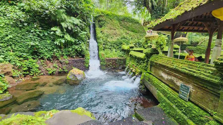 Ubud Healing Journey Experience - All Inclusive - What Is the Ubud Healing Journey Experience?