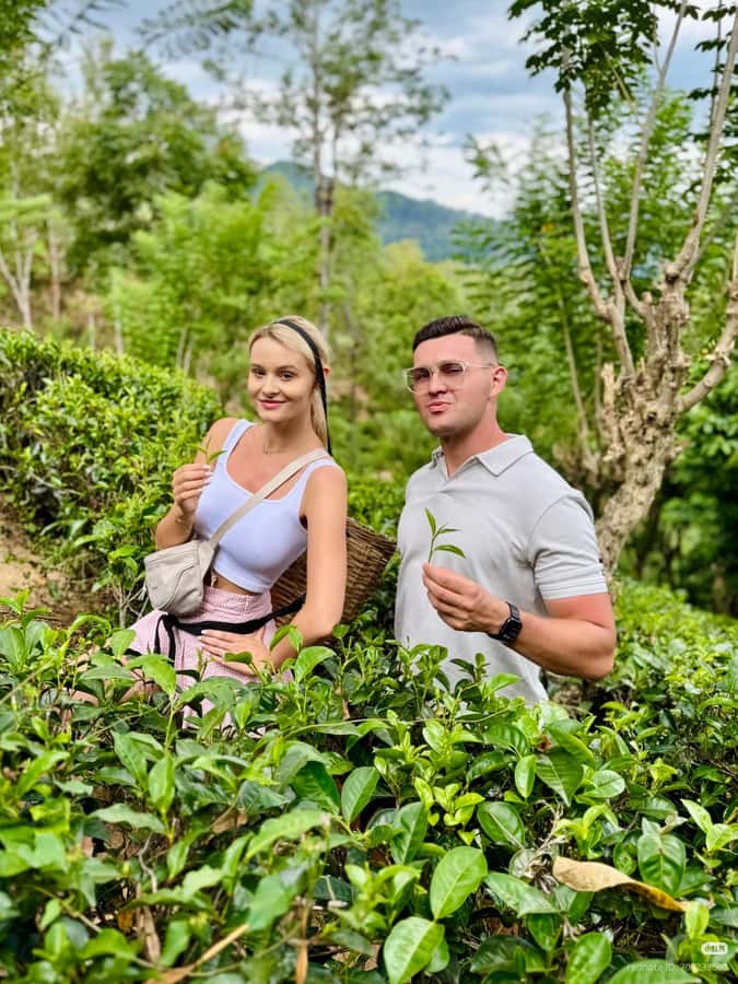 Nuwara Eliya: Hidden Falls & Tea A Local Journey Tuk Tuk - Why You’ll Love This Nuwara Eliya Adventure