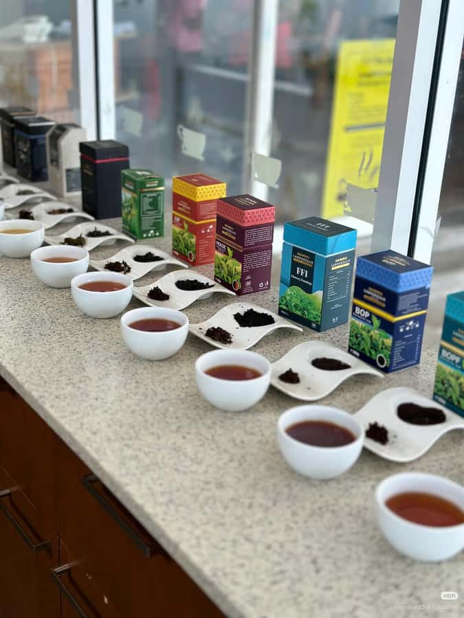 Nuwara Eliya: Hidden Falls & Tea A Local Journey Tuk Tuk - What to Expect and Practical Tips