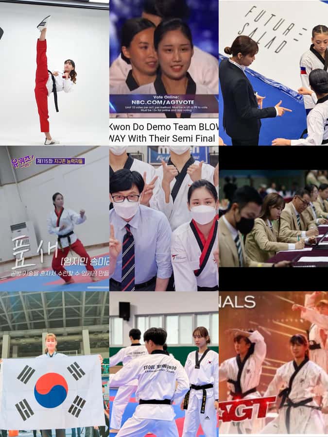 Seoul: Taekwondo Experience with National Champion - Key Points