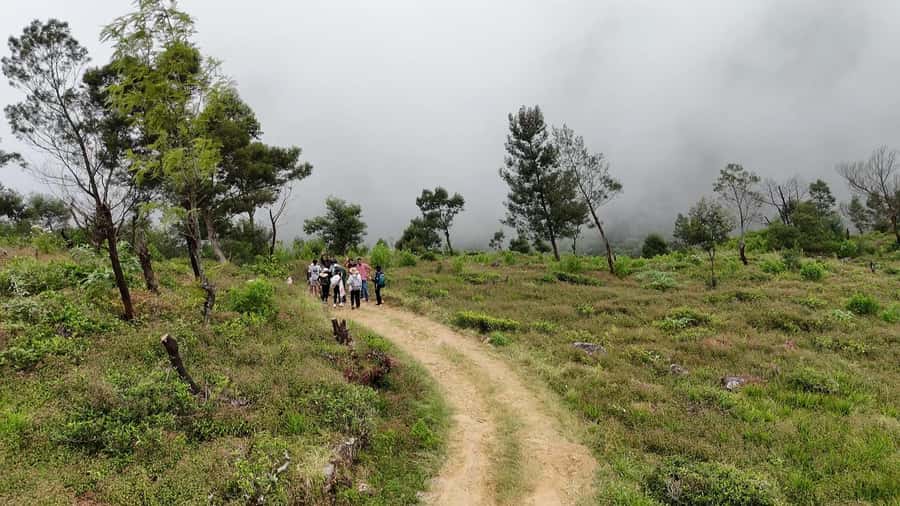 Belihuloya: Devil's Staircase Jeep Safari with Pickup - The Journey Begins: Pickup and Scenic Drive