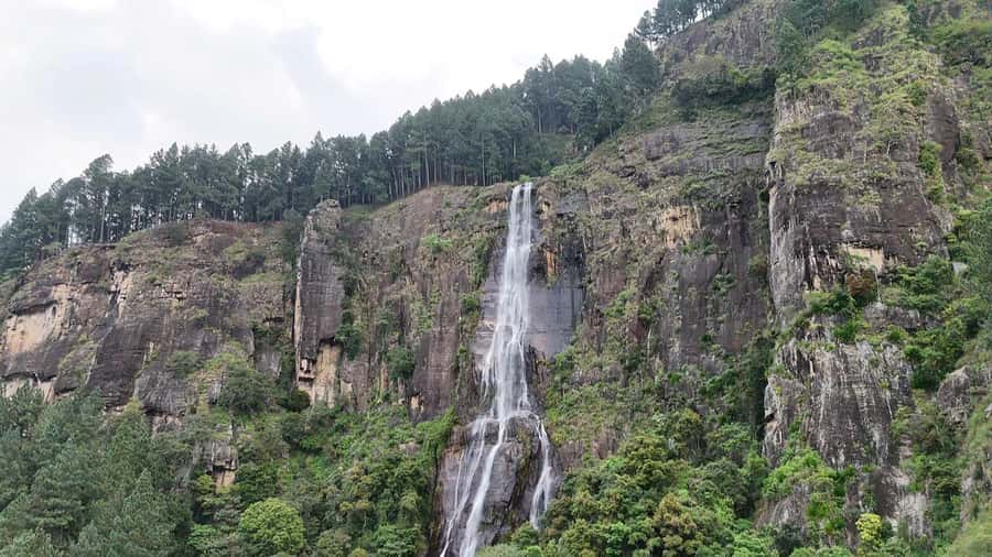 Belihuloya: Devil's Staircase Jeep Safari with Pickup - Who Would Enjoy This Tour?