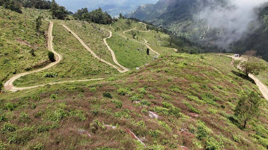 Belihuloya: Devil's Staircase Jeep Safari with Pickup - Is This Tour Worth It?