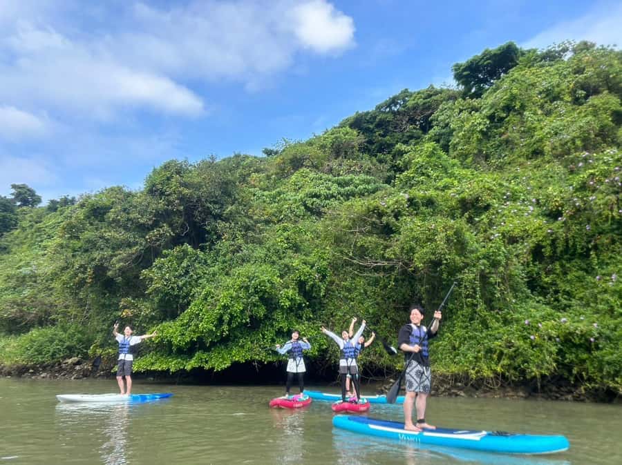 Okinawa: Mangrove SUP Tour with Photos - Good To Know
