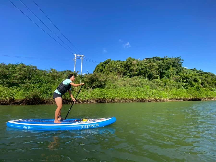 Okinawa: Mangrove SUP Tour with Photos - What You Can Expect from the Tour Itinerary