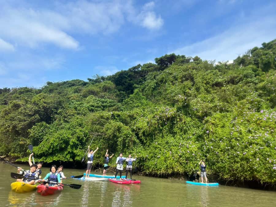 Okinawa: Mangrove SUP Tour with Photos - The Post-Paddle Experience
