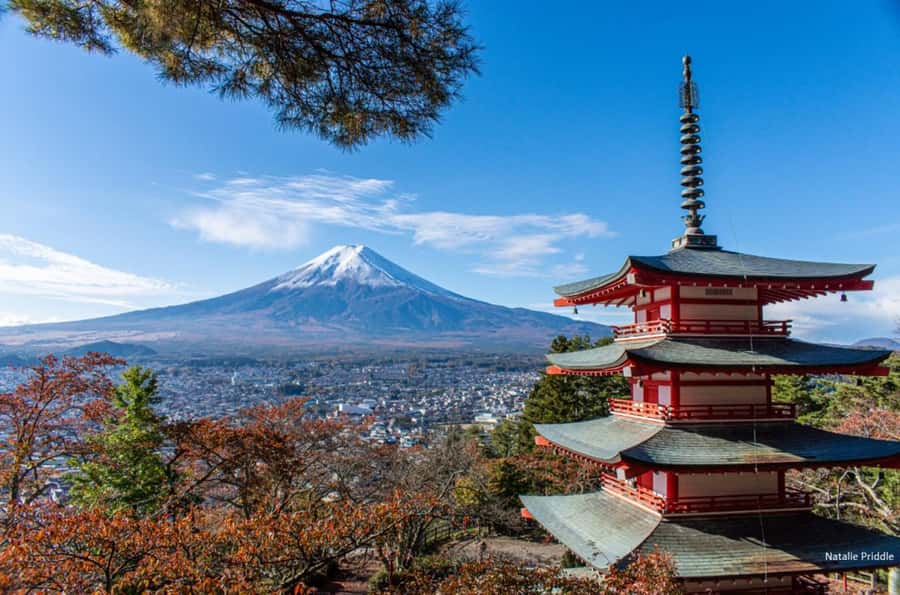 Tokyo: Mount Fuji Private Tour Custom itinerary With Guide - Breakdown of the Itinerary