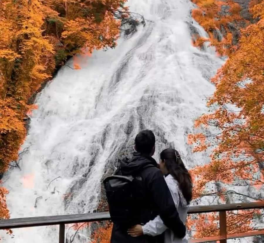 From Tokyo:Nikko World Heritage Customizable Tour with Guide - The Cultural Depth and Personalization